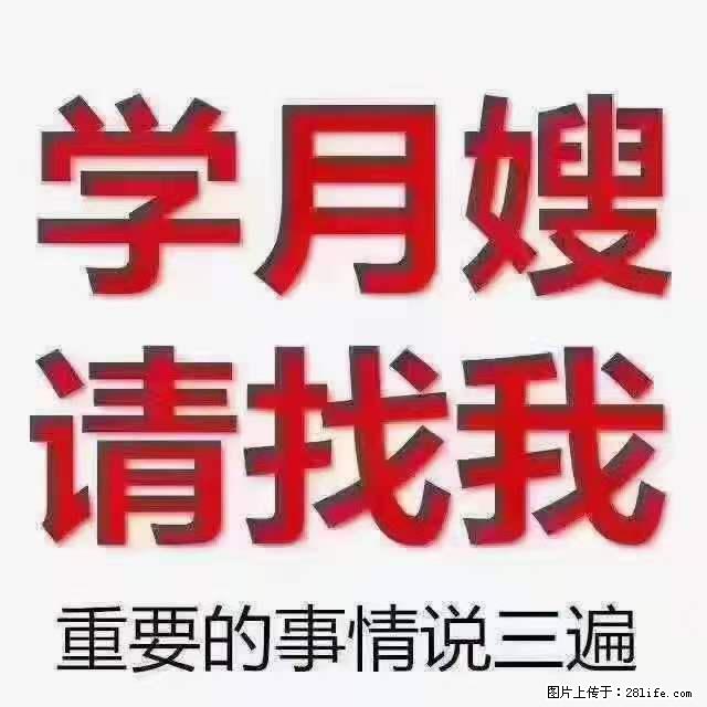 为什么要学习月嫂,育婴师? - 新手上路 - 盘锦生活社区 - 盘锦28生活网 pj.28life.net
