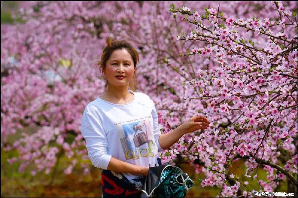 【春天，广西桂林灌阳县向您发出邀请！】官庄村有个醉美的桃花园 - 游山玩水 - 盘锦生活社区 - 盘锦28生活网 pj.28life.net