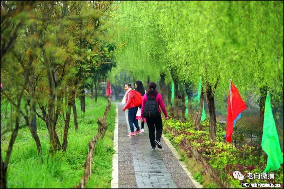 【春天，广西桂林灌阳县向您发出邀请！】江口老街又逢春 - 游山玩水 - 盘锦生活社区 - 盘锦28生活网 pj.28life.net
