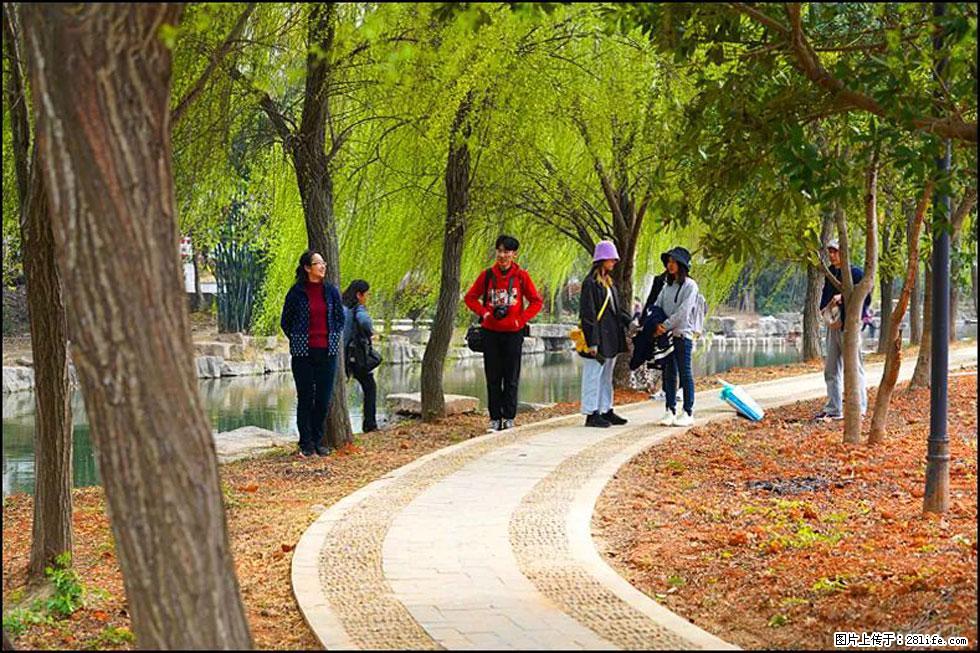 【春天，广西桂林灌阳县向您发出邀请！】江口老街又逢春 - 游山玩水 - 盘锦生活社区 - 盘锦28生活网 pj.28life.net