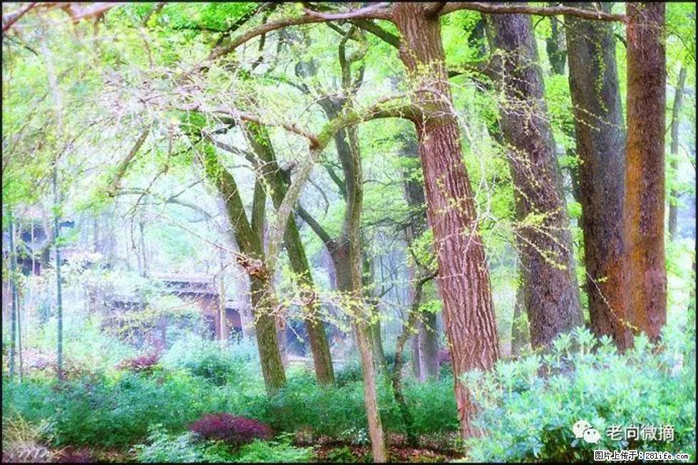 【春天，广西桂林灌阳县向您发出邀请！】在小龙村与春天约会 - 游山玩水 - 盘锦生活社区 - 盘锦28生活网 pj.28life.net
