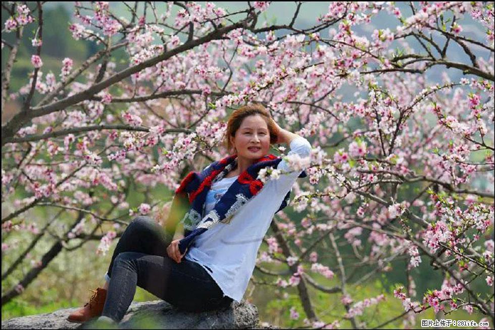 【春天，广西桂林灌阳县向您发出邀请！】望月岭上桃花开 - 游山玩水 - 盘锦生活社区 - 盘锦28生活网 pj.28life.net