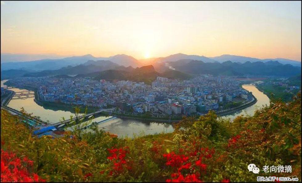 【春天，广西桂林灌阳县向您发出邀请！】登麒麟山，相约映山红 - 游山玩水 - 盘锦生活社区 - 盘锦28生活网 pj.28life.net
