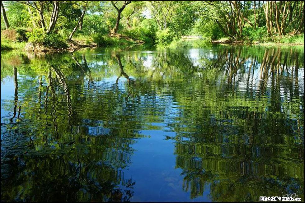 【春天，广西桂林灌阳县向您发出邀请！】熊家寨湿地公园 - 游山玩水 - 盘锦生活社区 - 盘锦28生活网 pj.28life.net