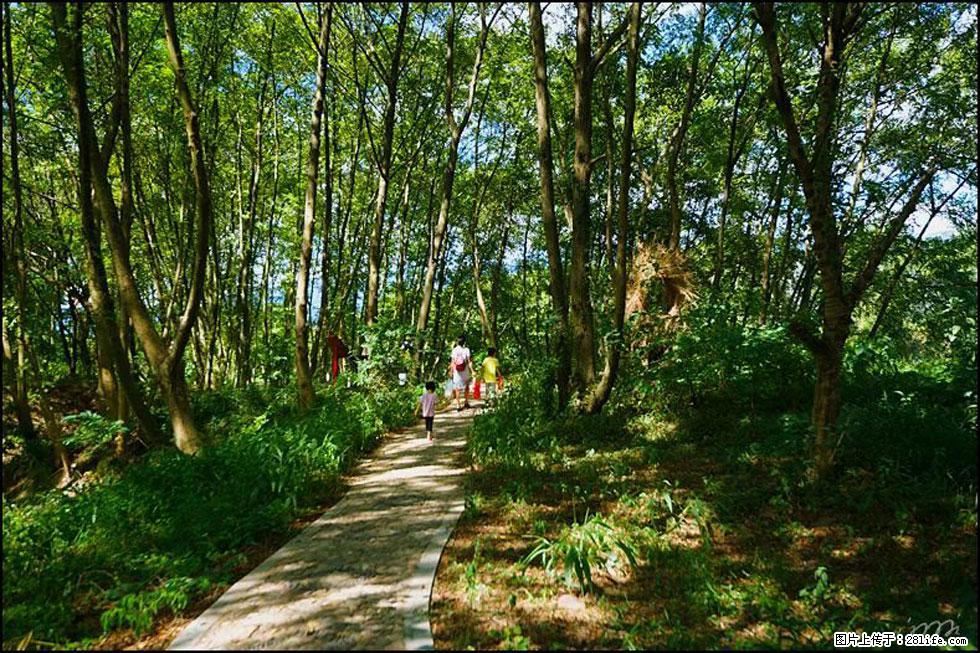 【春天，广西桂林灌阳县向您发出邀请！】熊家寨湿地公园 - 游山玩水 - 盘锦生活社区 - 盘锦28生活网 pj.28life.net