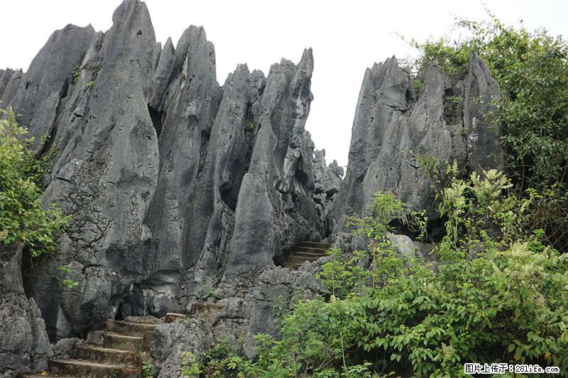 桂林旅游名城景点：灌阳文市石林 - 游山玩水 - 盘锦生活社区 - 盘锦28生活网 pj.28life.net