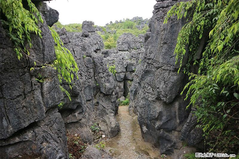 桂林旅游名城景点：灌阳文市石林 - 游山玩水 - 盘锦生活社区 - 盘锦28生活网 pj.28life.net