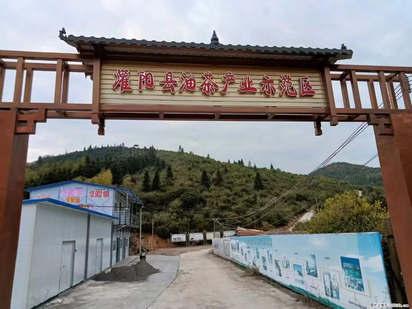 【灌阳县油茶产业示范区】一个有着充实的精神生活的人，对待身外之物自会有一种淡泊的态度 - 美食天地 - 盘锦生活社区 - 盘锦28生活网 pj.28life.net