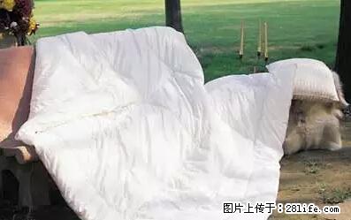 被子有异味？只要这样做，比晒太阳还强100倍！ - 家居生活 - 盘锦生活社区 - 盘锦28生活网 pj.28life.net