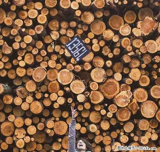 辞掉工作周游世界？现在他们在洗厕所…… - 游山玩水 - 盘锦生活社区 - 盘锦28生活网 pj.28life.net