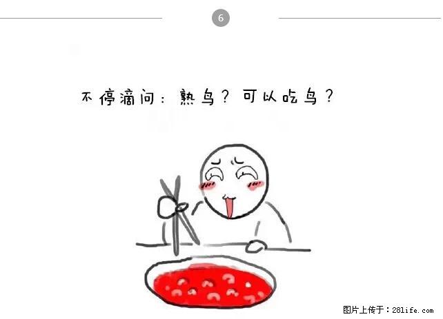 千万不要和这9种哈卵一起吃火锅！ - 美食天地 - 盘锦生活社区 - 盘锦28生活网 pj.28life.net