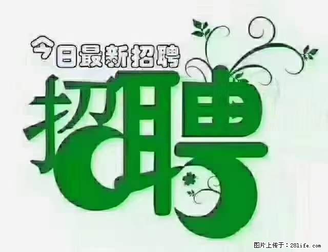 上海隔离酒店招人：55岁以下 男女不限 - 职场交流 - 盘锦生活社区 - 盘锦28生活网 pj.28life.net