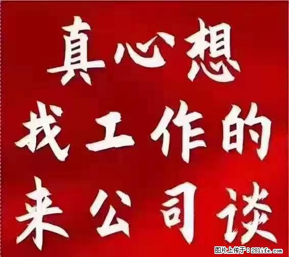 【上海】国企，医院招两名男保安，55岁以下，身高1.7米以上，无犯罪记录不良嗜好 - 职场交流 - 盘锦生活社区 - 盘锦28生活网 pj.28life.net