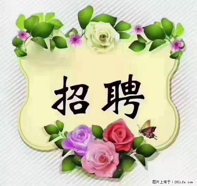 【招聘】住家育儿嫂，上户日期：4月4日，工作地址：上海 黄浦区 - 职场交流 - 盘锦生活社区 - 盘锦28生活网 pj.28life.net