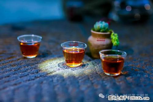 时间果百年古树红茶 - 其它 - 特色礼品 - 盘锦分类信息 - 盘锦28生活网 pj.28life.net