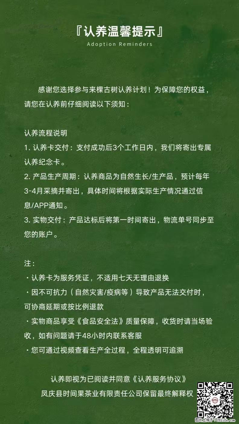 你也可以有一棵自己的古茶树 - 农作物 - 农林牧渔 - 盘锦分类信息 - 盘锦28生活网 pj.28life.net