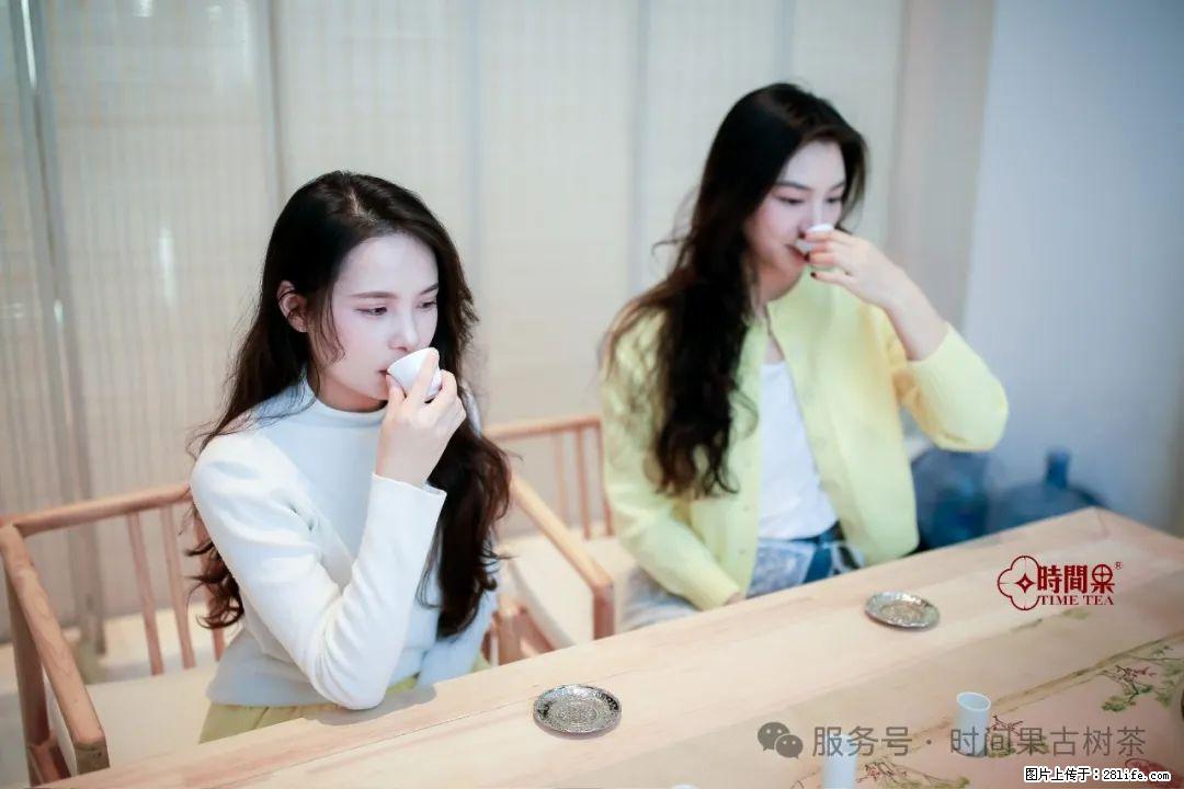 时间果百年古树龙珠普洱生茶 - 购物交流 - 盘锦生活社区 - 盘锦28生活网 pj.28life.net