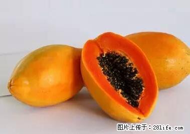 晕车、脚气、牙齿变黄、皮肤粗糙？学会这些三分钟搞定！ - 盘锦生活资讯 - 盘锦28生活网 pj.28life.net