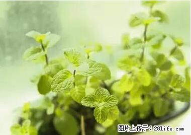 晕车、脚气、牙齿变黄、皮肤粗糙？学会这些三分钟搞定！ - 盘锦生活资讯 - 盘锦28生活网 pj.28life.net