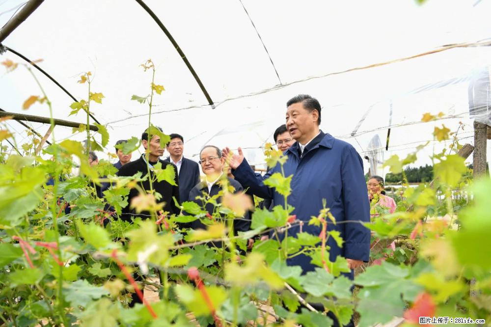 习近平赴广西考察调研 - 盘锦生活资讯 - 盘锦28生活网 pj.28life.net
