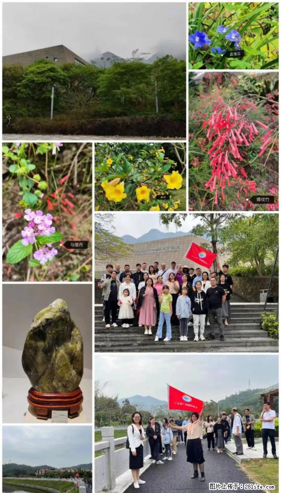 “粤灌文化 美好生活”油茶文化主题活动在广东深圳成功举办 - 盘锦生活资讯 - 盘锦28生活网 pj.28life.net