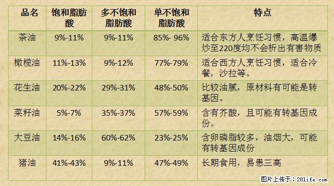 揭秘茶油的5大核心营养成分！被称为人体健康的“守护盾”！ - 盘锦生活资讯 - 盘锦28生活网 pj.28life.net