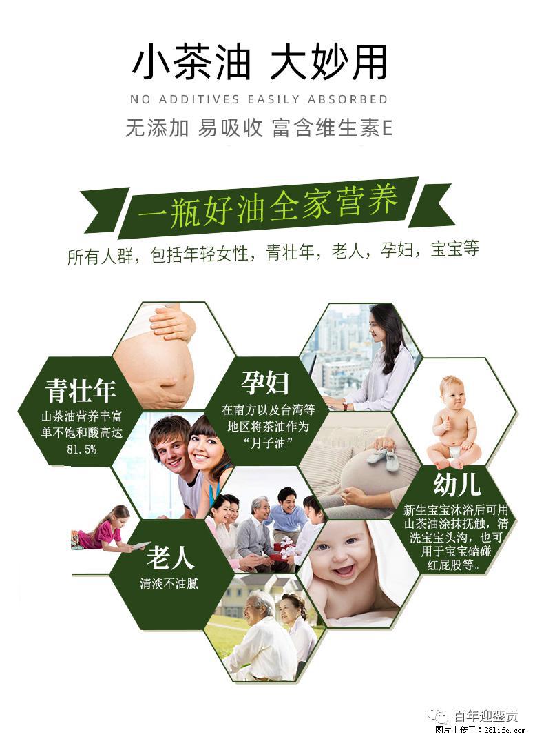 世界没有真相，只有认知，最好的食用油是中国的山茶油！ - 盘锦生活资讯 - 盘锦28生活网 pj.28life.net