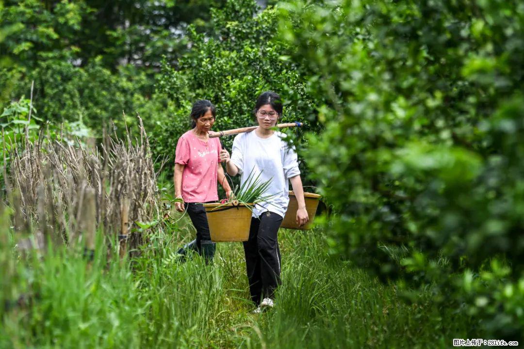 全网追的“扁担女孩”，找了一份暑假工，时薪12元 - 盘锦生活资讯 - 盘锦28生活网 pj.28life.net
