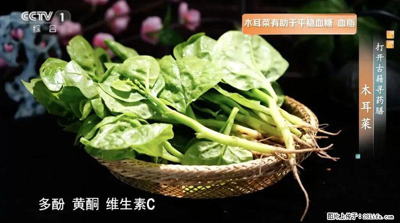 比牛奶补钙还厉害！凉血解毒、稳血糖...这菜冬天必吃，很多人却当草 - 盘锦生活资讯 - 盘锦28生活网 pj.28life.net
