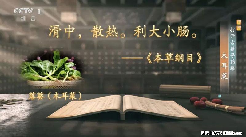 比牛奶补钙还厉害！凉血解毒、稳血糖...这菜冬天必吃，很多人却当草 - 盘锦生活资讯 - 盘锦28生活网 pj.28life.net