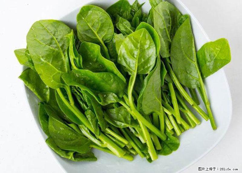 这些蔬菜是“天然钙片”，这6种被医生重点推荐 - 盘锦生活资讯 - 盘锦28生活网 pj.28life.net