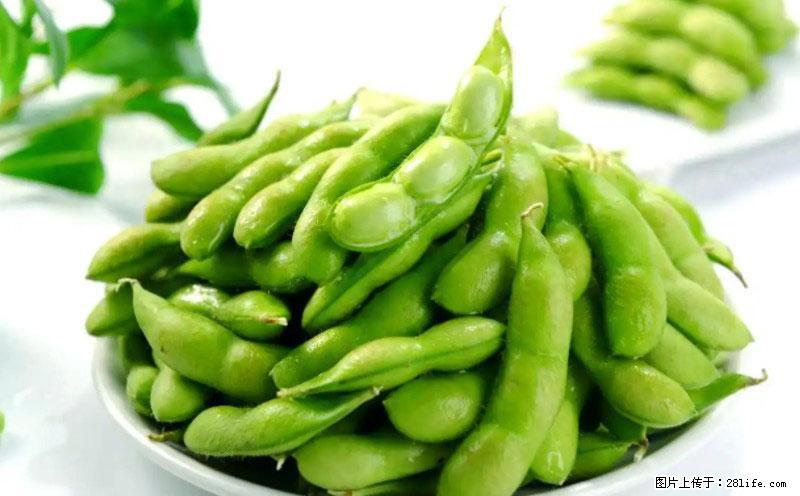 这些蔬菜是“天然钙片”，这6种被医生重点推荐 - 盘锦生活资讯 - 盘锦28生活网 pj.28life.net