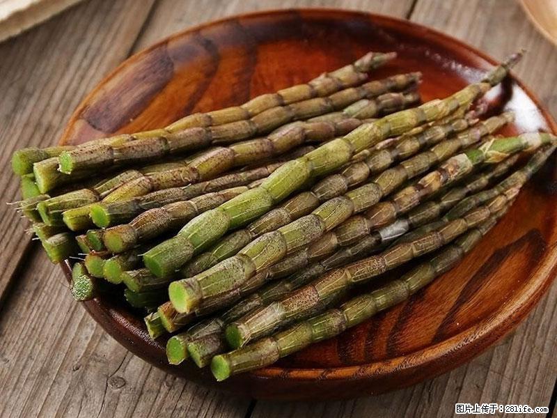 铁皮石斛的作用与功能主治 - 盘锦生活资讯 - 盘锦28生活网 pj.28life.net