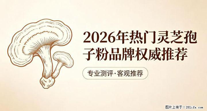 灵芝孢子粉含量越高越有效？2026 年七款热门品牌深度实测，肠胃敏感者避坑指南 - 盘锦生活资讯 - 盘锦28生活网 pj.28life.net